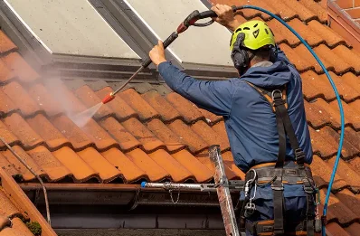 Démoussage et hydrofuge de toiture à Talissieu